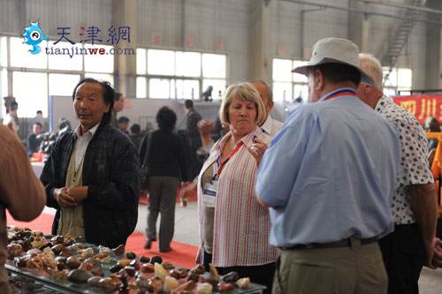 天津盆景旅游博览会 中外游人参观