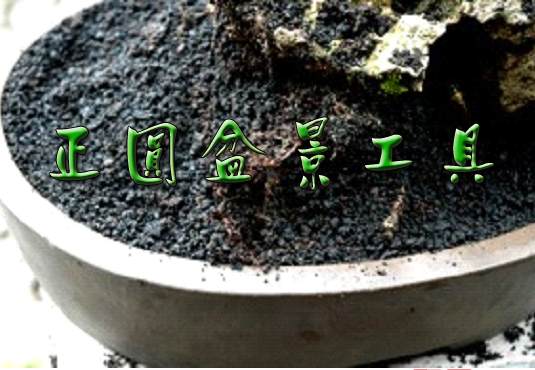 图解 盆景种植怎么换盆的步骤