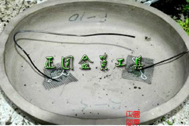 图解 盆景种植怎么换盆的步骤