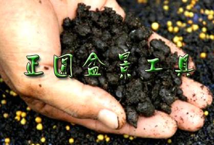 图解 盆景种植怎么换盆的步骤