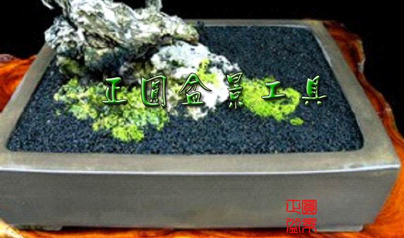 图解 盆景种植怎么换盆的步骤