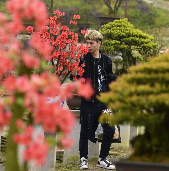 春季赏青正当时 株洲首个盆景园开园