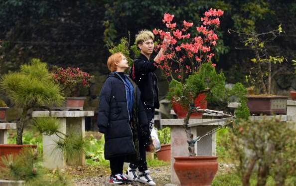 春季赏青正当时 株洲首个盆景园开园