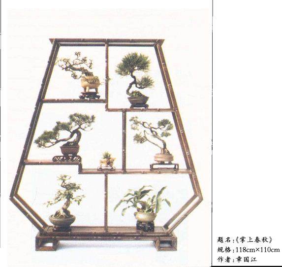 章国江尤其对小型、微型盆景情有独钟