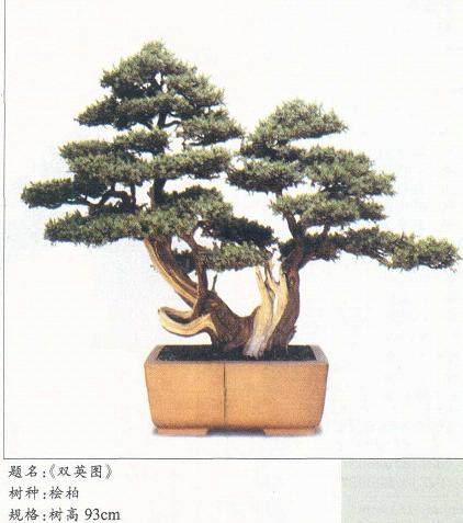 记杭州的私家盆景花园-怡然园