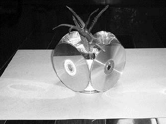 DIY盆景把春光绿意装进家里(图)