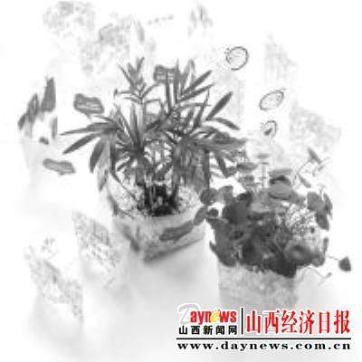 DIY小盆景 打造春意盎然的家(图)