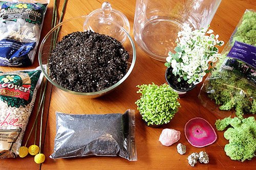 手工创意DIY迷你盆景（组图）