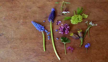 创意DIY 蛋壳也能做盆景~