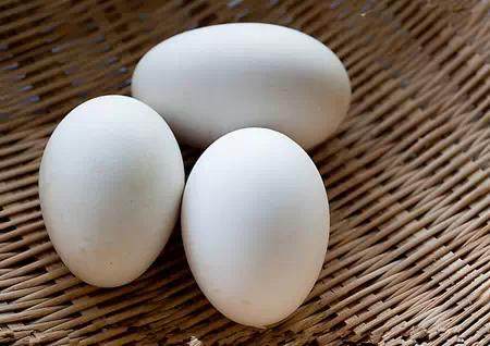 创意DIY 蛋壳也能做盆景~