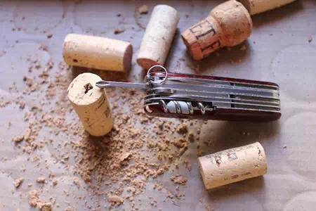 创意DIY 蛋壳也能做盆景~