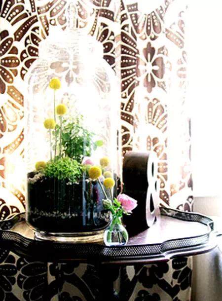 创意DIY 蛋壳也能做盆景~