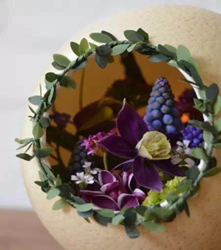 创意DIY 蛋壳也能做盆景~