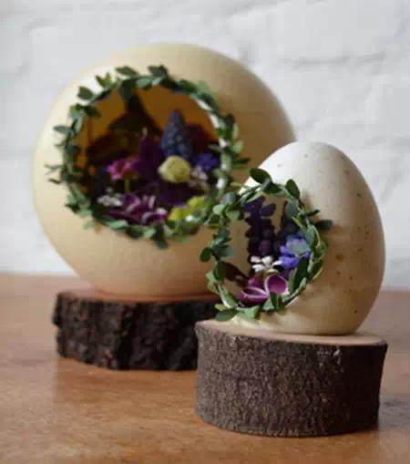创意DIY 蛋壳也能做盆景~