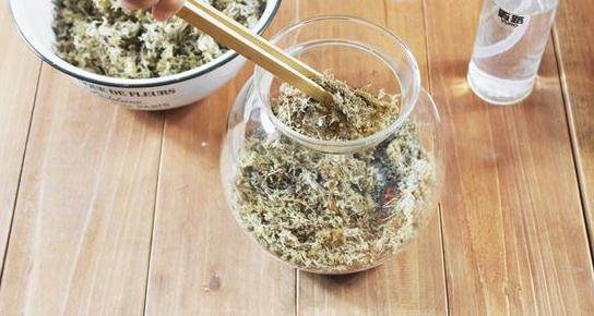 微生态瓶 手工DIY苔藓盆景微景观的步骤
