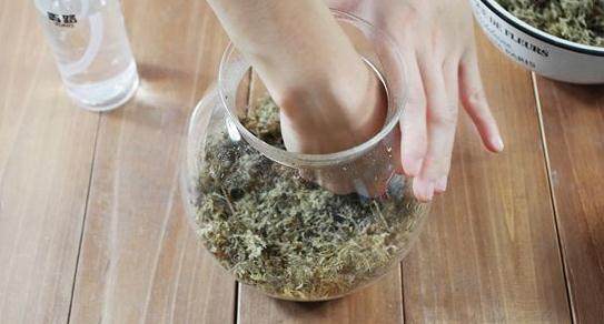 微生态瓶 手工DIY苔藓盆景微景观的步骤