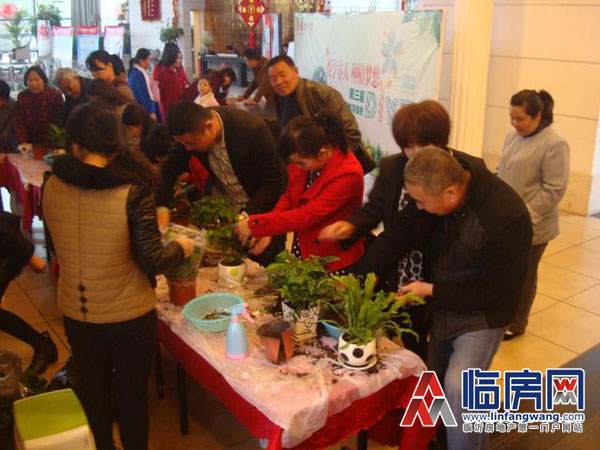 沂龙湾第三届盆景盆栽DIY活动缤纷呈现