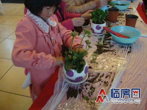 沂龙湾第三届盆景盆栽DIY活动缤纷呈现