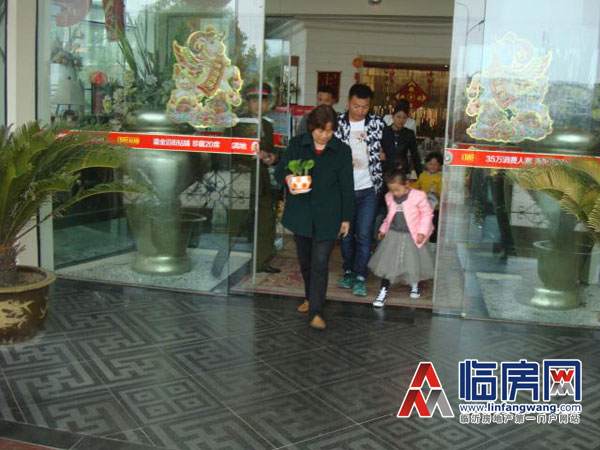 沂龙湾第三届盆景盆栽DIY活动缤纷呈现