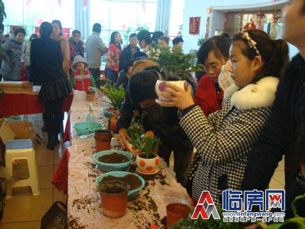 沂龙湾第三届盆景盆栽DIY活动缤纷呈现