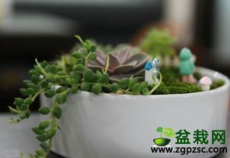 迎接春天吧精巧微观盆景DIY