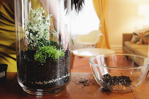 手工创意DIY迷你盆景(组图)