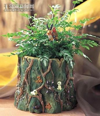 小义逛街迷你小盆景