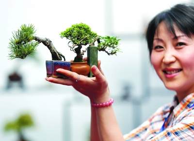 去古林公园看迷你盆景展 为期3天