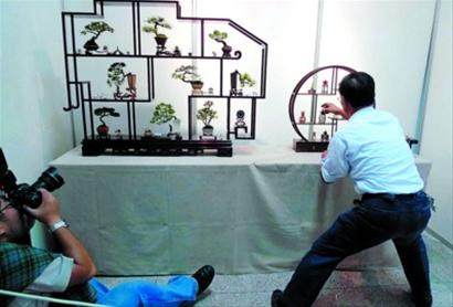 上海植物园将迎来一场盆景精品邀请展