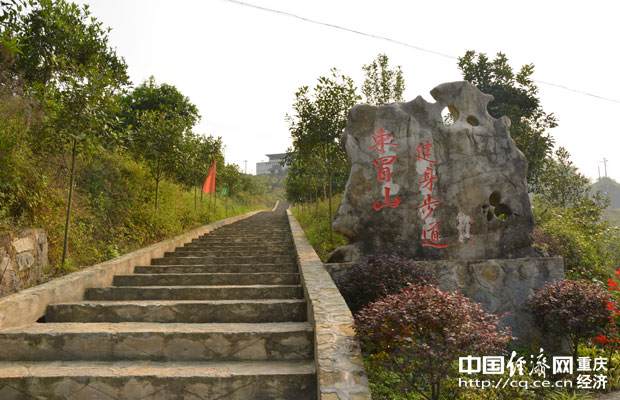 东冒山蔬菜基地打造重庆最大水果盆景基地