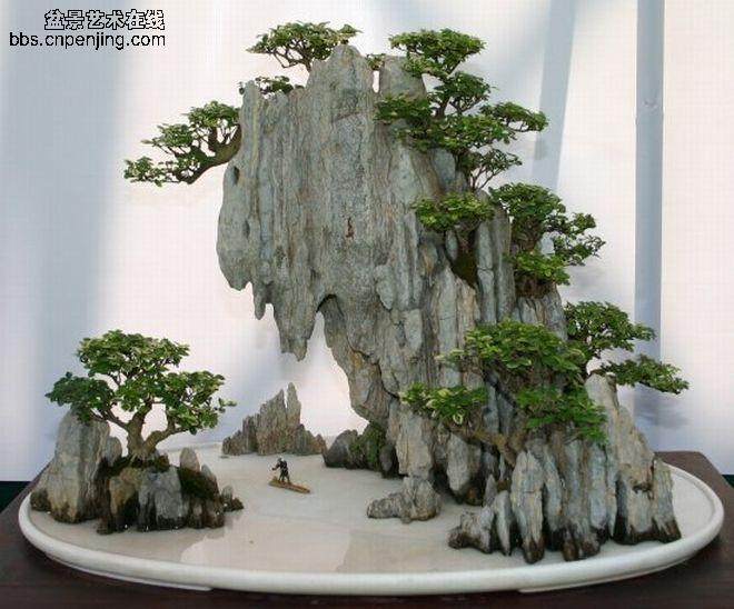 江北：&ldquo;首届重庆主城精品盆景艺术展&rdquo;开幕