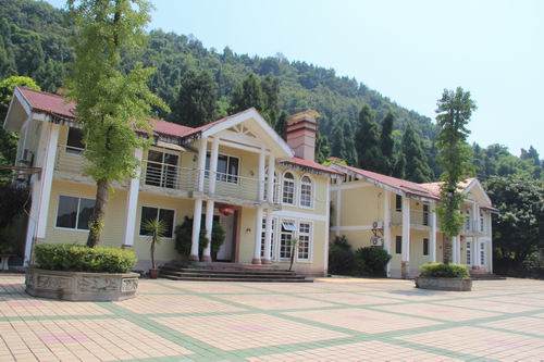 合川红房绿树盆景园 数千件盆景雅趣横生