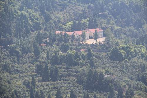 合川红房绿树盆景园 数千件盆景雅趣横生