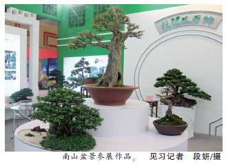 重庆文博会闭幕 我区携南山盆景技艺参展