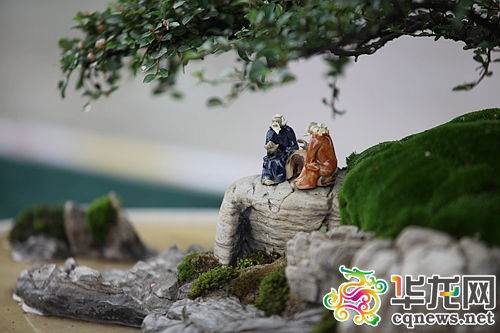 盆景艺术品之一的《武陵渔歌》,充满诗情画意。记者