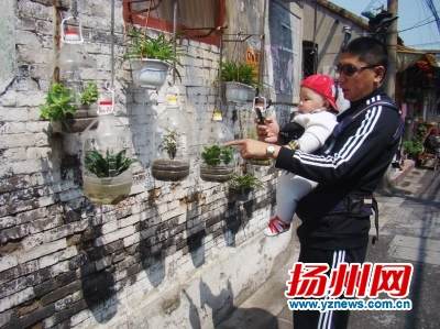 油壶盆景成微风景