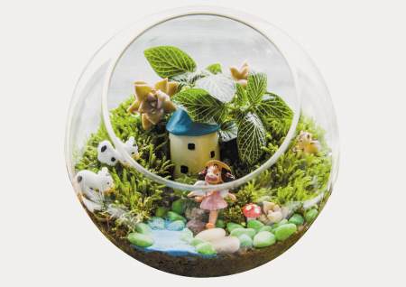 将田园山水浓缩进玻璃瓶 微盆景被甬城白领搬上案头