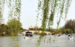 4·18召开国际盆景大会 四大板块19项活动精彩纷呈