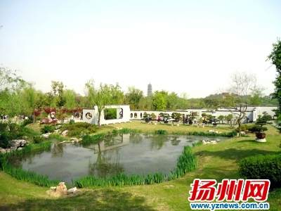 近半数盆景展品抵扬 2013国际盆景大会昨起布展