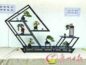 国际盆景大会首次荟萃广州 冠军盆景历30年修剪而成