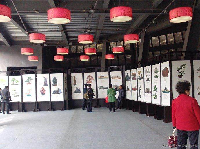 2013国际盆景大会部分图片