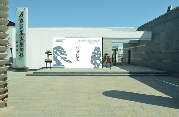 河北植物园杯盆景雅石花道展