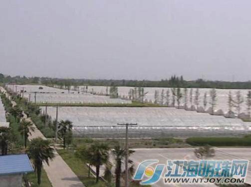 江苏南通如皋花木盆景年营销收入将超百亿元