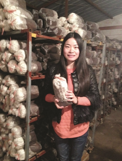 南通一女服装设计师改行种灵芝做盆景