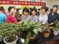 辽宁举办魅力社区精彩生活花卉盆景展