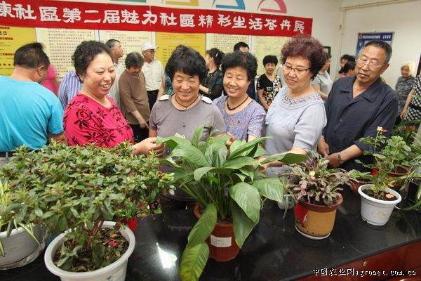 辽宁举办魅力社区精彩生活花卉盆景展