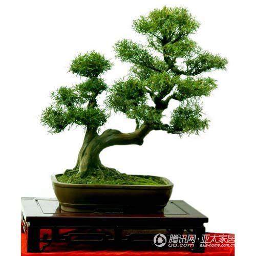 辽宁鞍山木雕盆景景观底座受追捧