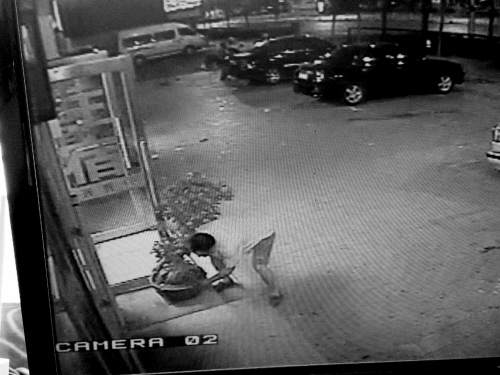 监控录像显示,男子徒手将盆景抱起 辽宁大力的哥深夜抱走百斤榕树盆景