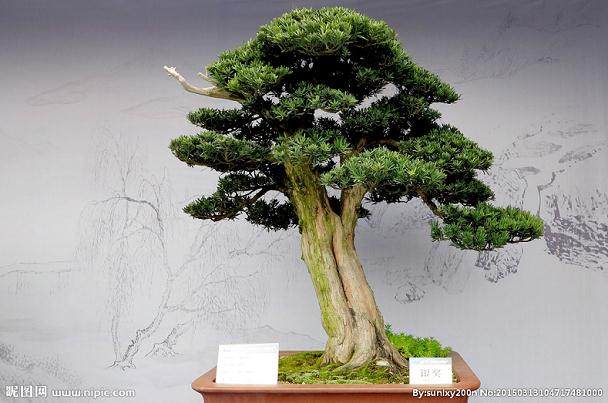 盆景堆砌菜肴单调　哈尔滨生态酒店新瓶装旧酒