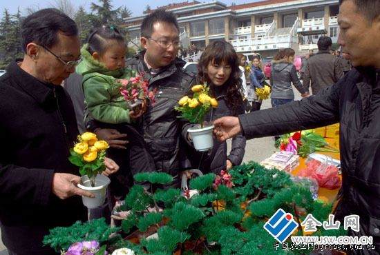 江苏清明祭扫用仿真绢花盆景受欢迎